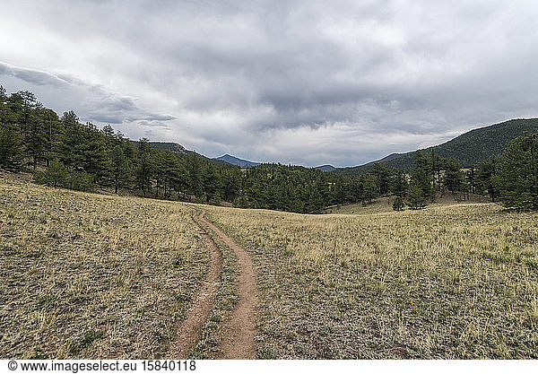 Wanderweg in der Wildnis des Lost Creek