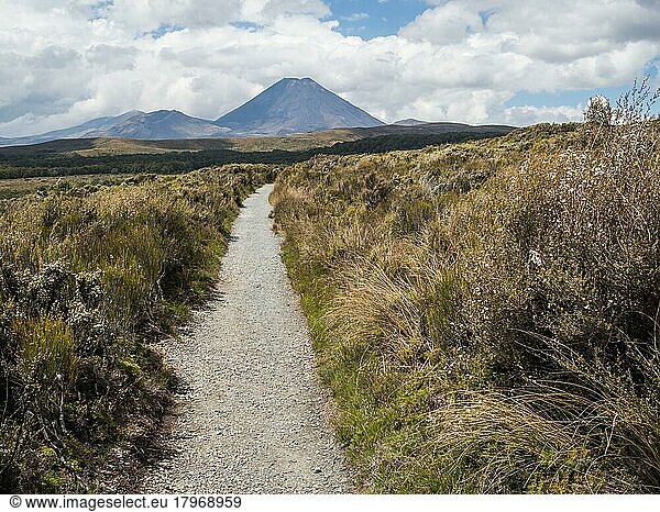 Wanderweg Taranaki Falls Track  Tongariro Nationalpark  Nordinsel  Neuseeland  Ozeanien