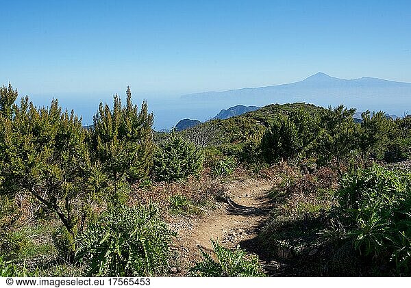 Wanderweg zu dem Gipfel des Alto de Garajonay  höchster Berg der Insel La Gomera  1487 m  Aussicht auf Teneriffa und den Teide  Nationalpark Garajonay  La Gomera  Kanarische Inseln  Spanien  Europa