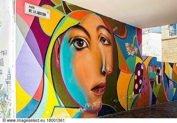 Wandmalerei nahe vom Picasso-Museum  Malaga  Malaga  Andalusien  Spanien  Europa