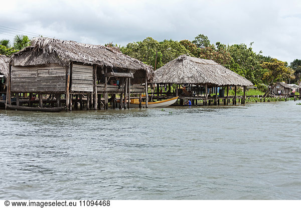 Warao-Indian houses at riverside  Orinoco Delta  Venezuela