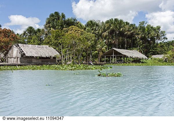 Warao-Indian houses straw huts in an indigenous village  Orinoco Delta  Venezuela