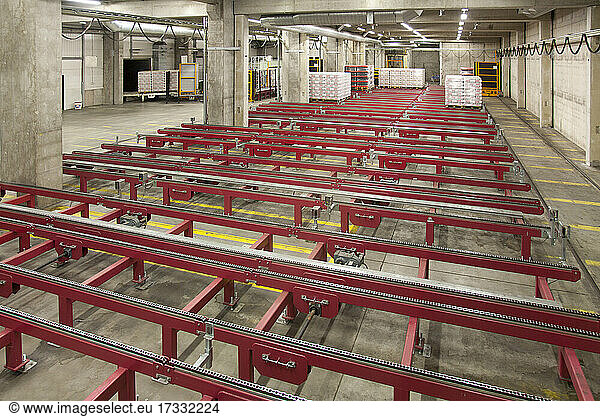 Warehouse  cartons and boxes of beer