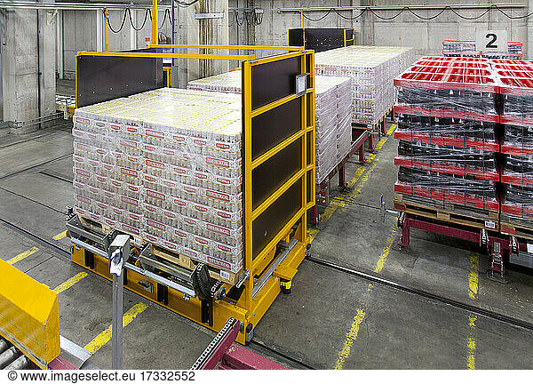 Warehouse  cartons and boxes of beer