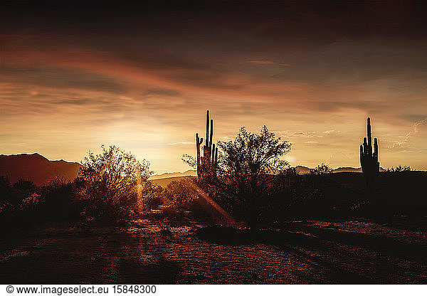Warmer Sonnenuntergang in der Wüste