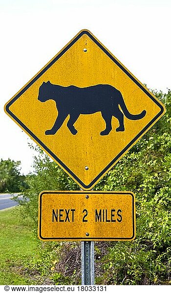 Warnschild vor Pumas  Florida/ warning sign to puma  Florida  Florida  USA  Nordamerika
