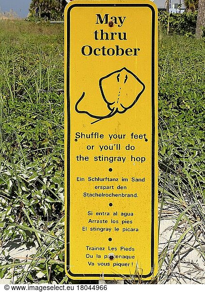 Warnschild vor Stachelrochen  Florida/ warning sign to stingray hop  Florida  Florida  USA  Nordamerika