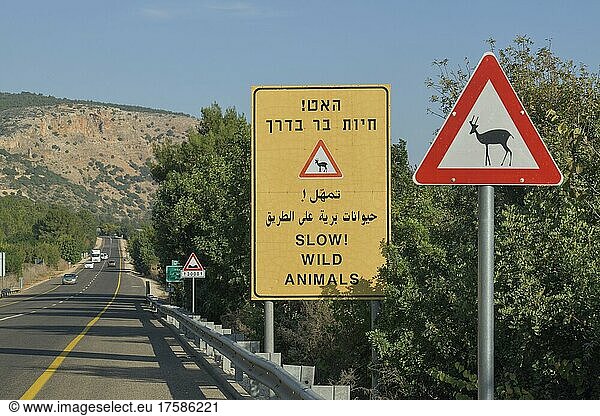 Warnschild  wilde Tiere  Israel  Asien