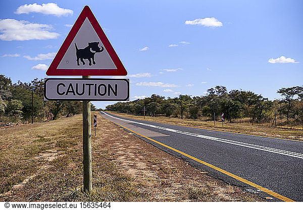 Warthog crossing sign by road against sky  Mpumalanga  South Africa