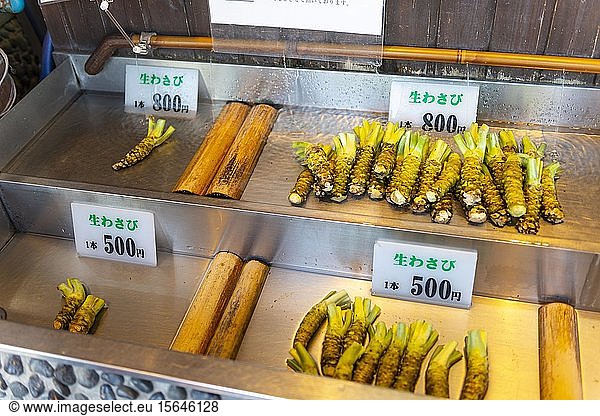Wasabi roots for sale in a counter  Daio Wasabi Farm  Nagano  Japan  Asia