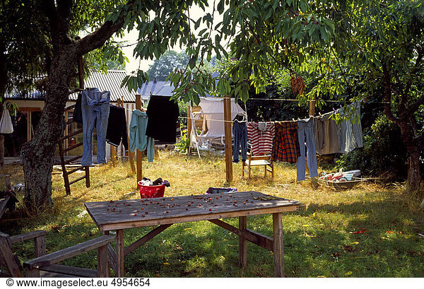 Washing lines with clothes in garden