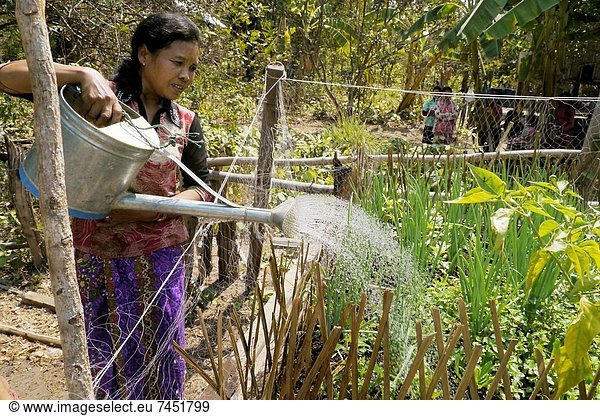 Wasser  Frau  Planung  Unterstützung  Dorf  Garten  Fotografie  Kambodscha