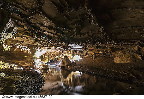 Wasser in der Höhle von Waipu in Ozeanien  Neuseeland