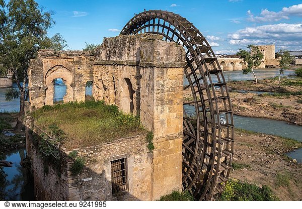 Wasser Mühle Brücke Hintergrund Fluss Andalusien Guadalquivir alt römisch Spanien