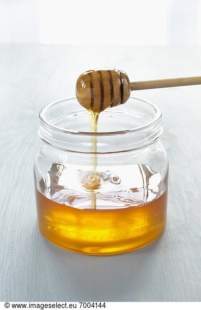 Wasseramsel  Honig