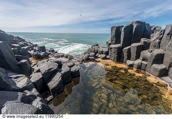 Wasseransammlung zwischen Felsen  Römisches Bad  Sechseckige Basaltsäule am Meer  Blackhead  Dunedin  Otago  Südinsel  Neuseeland  Ozeanien