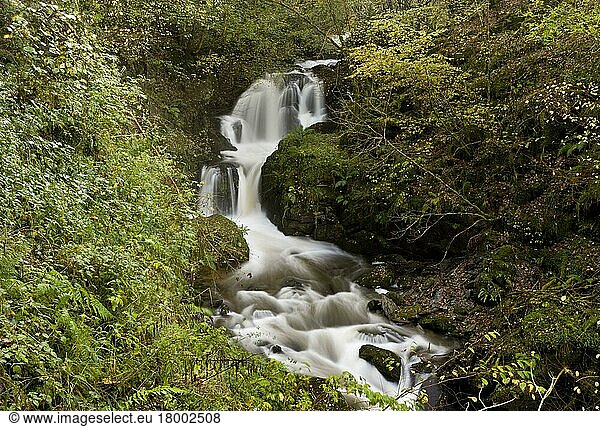 Wasserfälle und Stromschnellen auf einem Fluss  der durch ein Waldgebiet fließt  Farley Water (Hoar Oak Water)  oberhalb von Watersmeet  Exmoor N. P. Devon  England  November
