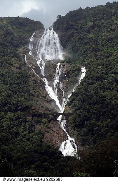 Wasserfall Asien Goa Indien Maharashtra