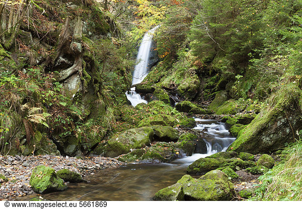 Wasserfall in der Ravennaschlucht im Herbst  Breisgau-Hochschwarzwald  Baden-Württemberg  Deutschland  Europa