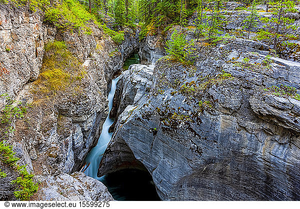 Wasserfall  Jasper National Park; Alberta  Kanada