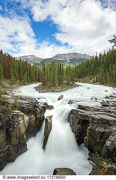 Wasserfall Sunwapta Falls am Icefields Parkway Sunwapta River Jasper National Park Rocky Mountains Alberta Kanada Nordamerika