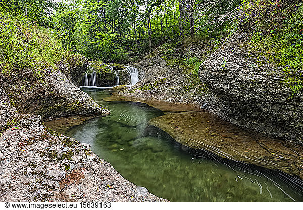 Wasserfall und ein ruhiger Bach in einem Wald; Saint John  New Brunswick  Kanada