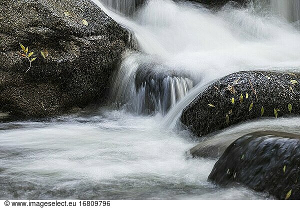 Wasserfall  Wasserfälle und Felsen am Fluss Iruelas. Sierra de Gredos. Avila. Spanien. Europa.