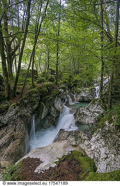 Wasserlauf der Lepenjica  Kaskaden  Bovec  Triglav Nationalpark  Slowenien  Europa