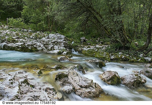 Wasserlauf der Lepenjica  Kaskaden  Bovec  Triglav Nationalpark  Slowenien  Europa