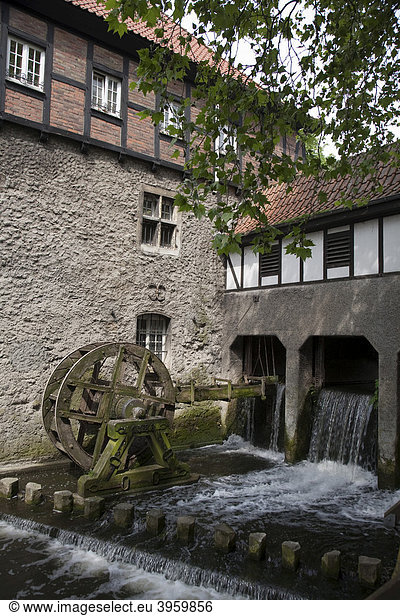 Wassermühle an der Stever in Lüdinghausen Münsterland Nordrhein-Westfalen Deutschland Europa