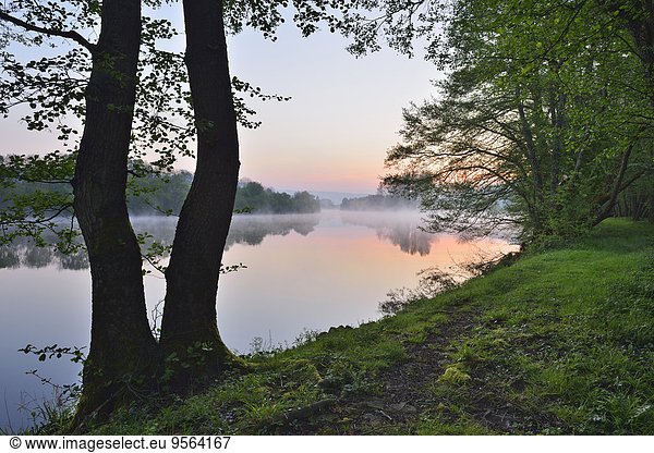 Wasserrand Baum Morgendämmerung Fluss Bayern Franken Deutschland