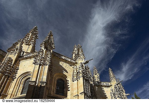 Wasserspeier der Kathedrale der Stadt Segovia  SEGOVIA  CASTILLA-LEON  SPANIEN  EUROPA.