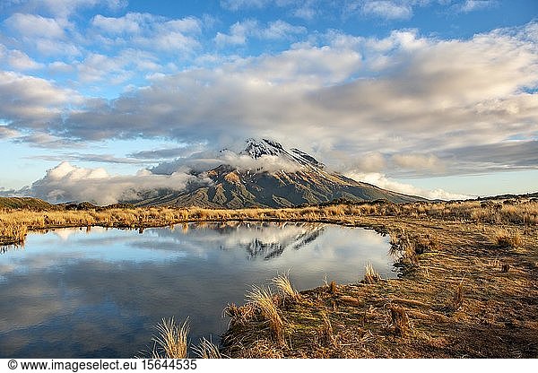 Wasserspiegelung im Pouakai Tarn  Stratovulkan Mount Taranaki oder Mount Egmont  Egmont National Park  Taranaki  Neuseeland  Ozeanien