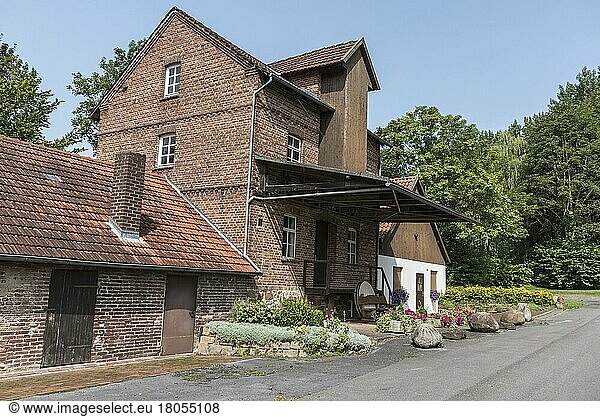 Water mill  oil mill  Bergkirchen  Minden-Lübbecke  East Westphalia-Lippe  North Rhine-Westphalia  Germany  Europe