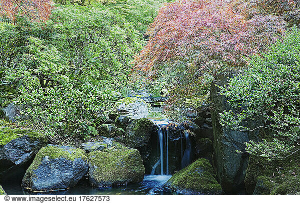 Waterfall and Bridge in Japanese Garden