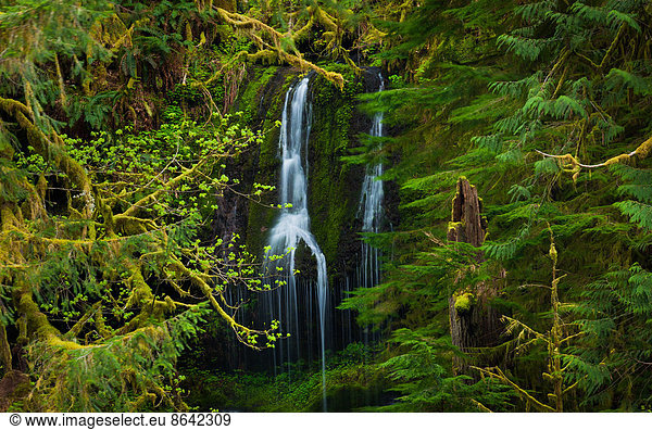 Waterfall  Columbia River Gorge  Oregon