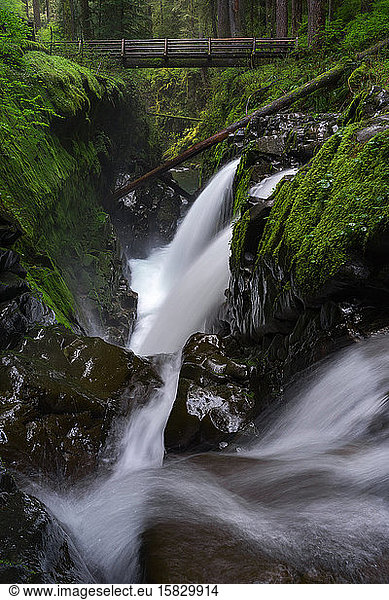Waterfall flowing in mossy forest under wooden bridge