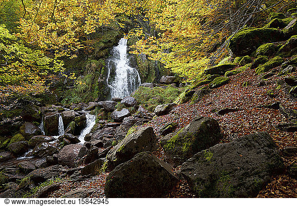 Waterfall in a autumnal forest in the Aspe Valley.