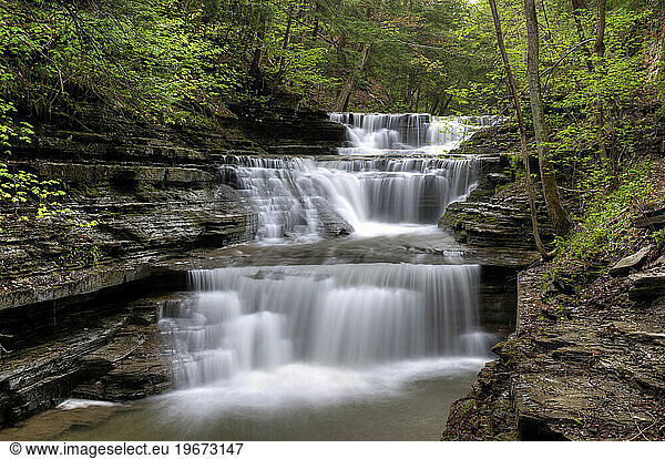 Waterfall in Buttermilk Falls State Park  New York  USA
