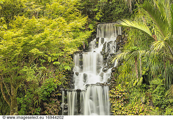 Waterfall in Pukekura Park  botanical garden  New Plymouth  Taranaki  North Island  New Zealand  Pacific