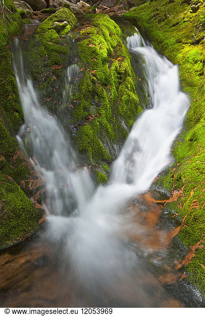Waterfall On Big Brook  Kelly's Mountain; Cape Breton Island  Nova Scotia  Canada