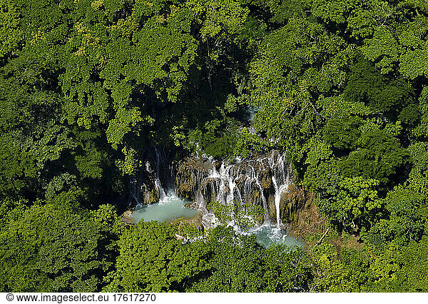 Waterfalls cascade through the vegetation downstream of Cueva de Villa Luz in Tabasco  Mexico.; Tabasco State  Mexico.