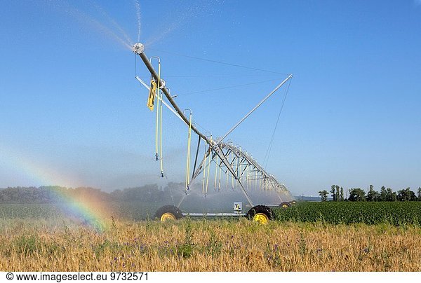 Watering the cornfield automatic installation. Belgorod region.