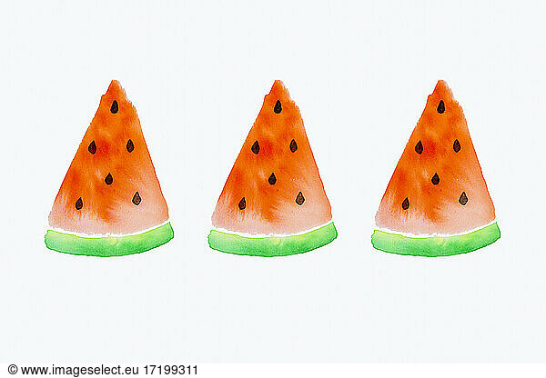Watermelon slices painted with watercolor on white background