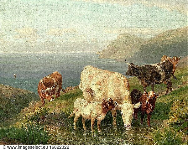 Watson William - Cattle on a Cornish Coast - British School - 19th Century.