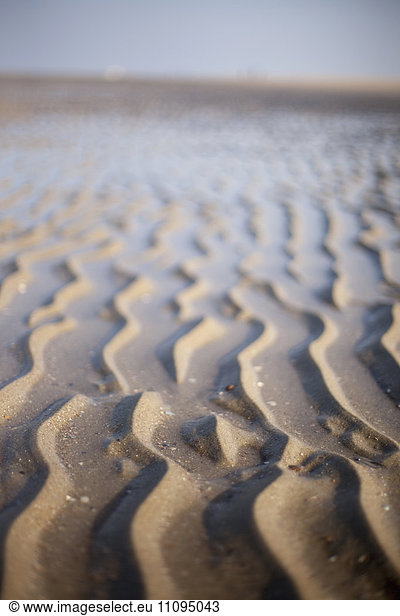 Wave patterns sand at beach  Renesse  Schouwen-Duiveland  Zeeland  Netherlands