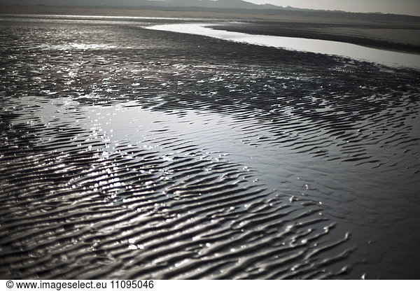 Wave patterns sand on beach  Renesse  Schouwen-Duiveland  Zeeland  Netherlands