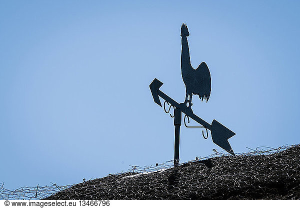 Weathervane silhouette of a rooster on a barnyard roof with blue sky in the background