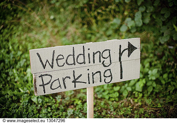 Wedding parking text on wooden plank at field