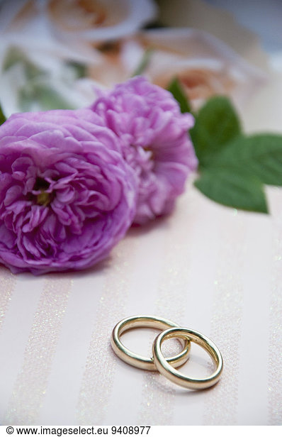 Wedding rings with roses in background  close up
